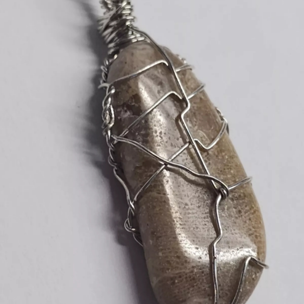 Wire wrapped Petoskey stone. Hand wrapped stone from Michigan